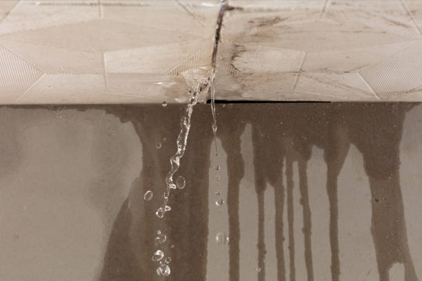 Professional Water Damage Repair technician working in Waco, TX
